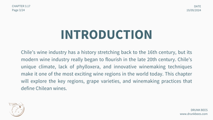 Chapter 3.17 - Chilean Wines: A World-Class Wine Region Defined by Diversity