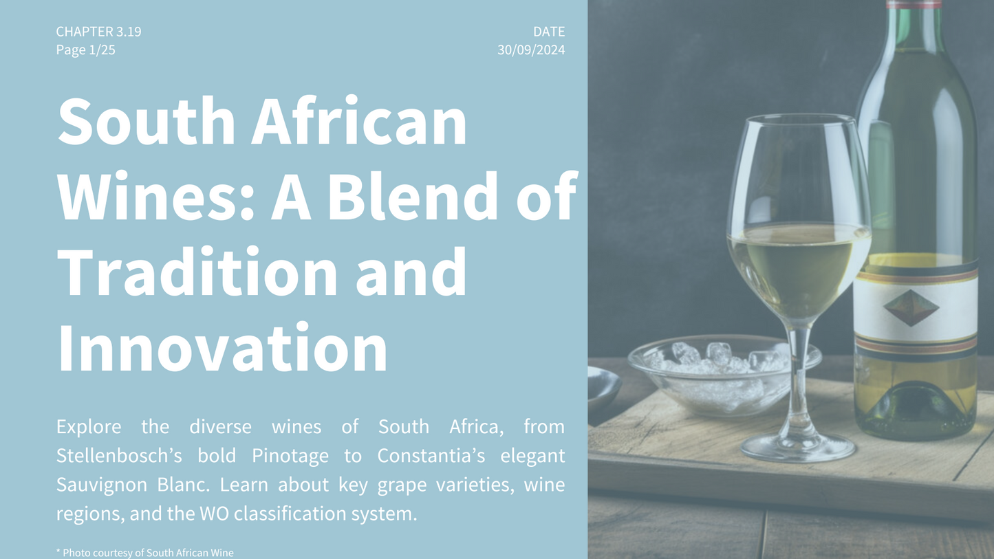 Chapter 3.19 - South African Wines: A Blend of Tradition and Innovation