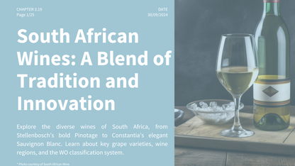 Chapter 3.19 - South African Wines: A Blend of Tradition and Innovation