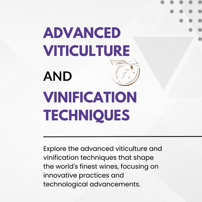 Chapter 4.01 - Advanced Viticulture and Vinification Techniques