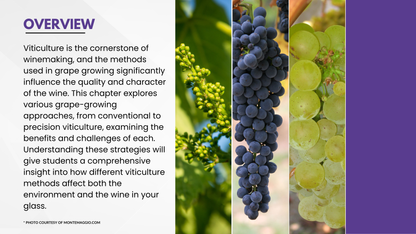 Chapter 4.04 - Viticulture Approaches: From Conventional to Precision Farming