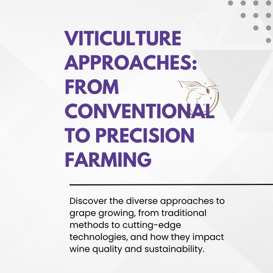 Chapter 4.04 - Viticulture Approaches: From Conventional to Precision Farming