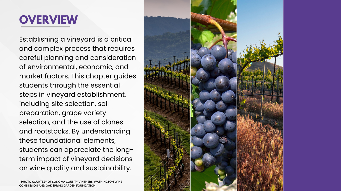 Chapter 4.05 - Foundations of Vineyard Establishment: From Site Selection to Planting Materials