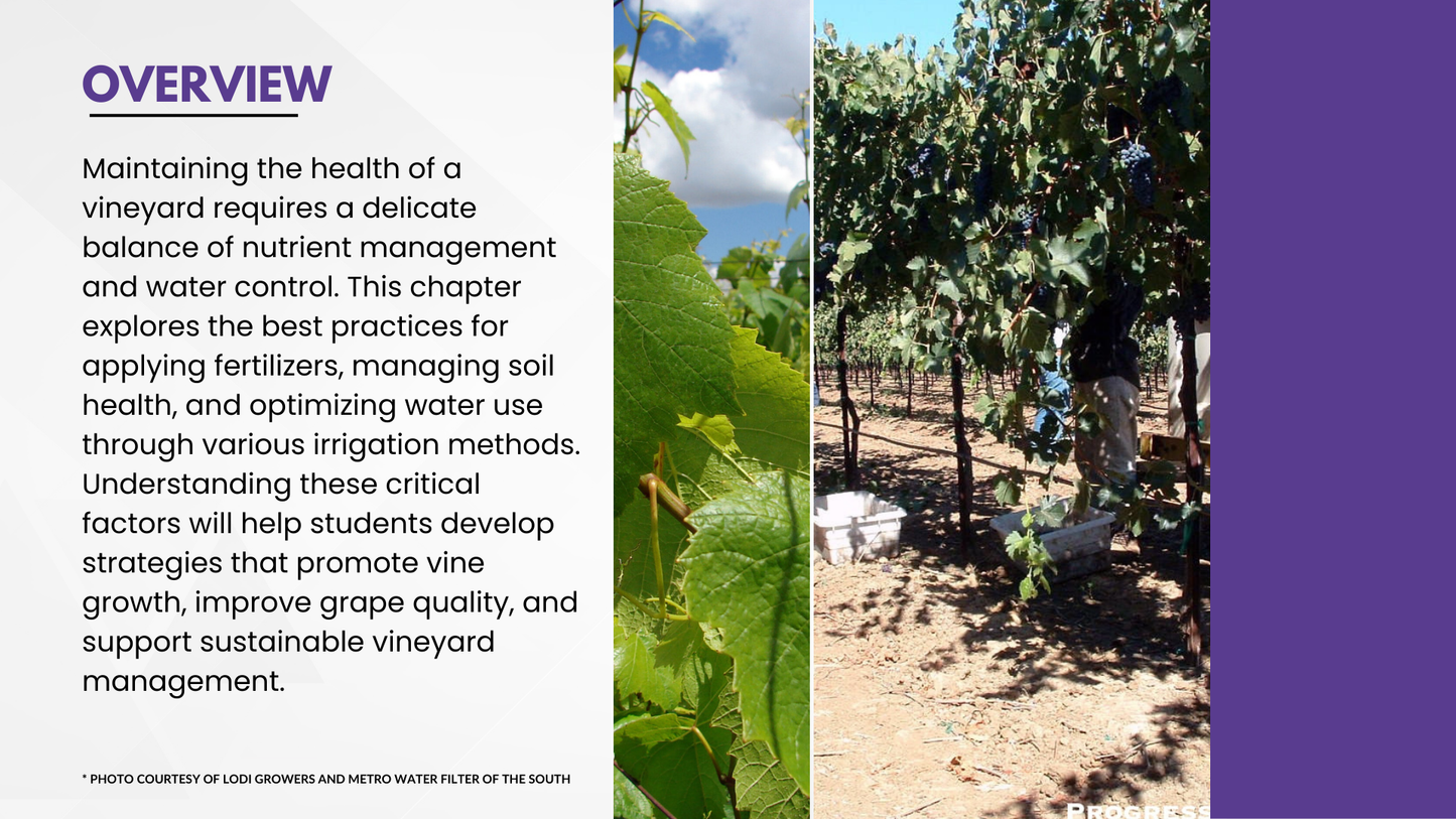 Chapter 4.06 - Optimizing Nutrients and Water for Vineyard Health and Productivity