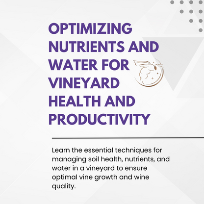 Chapter 4.06 - Optimizing Nutrients and Water for Vineyard Health and Productivity