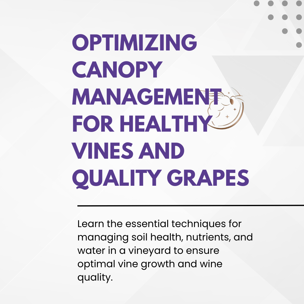 Chapter 4.07 - Optimizing Canopy Management for Healthy Vines and Quality Grapes