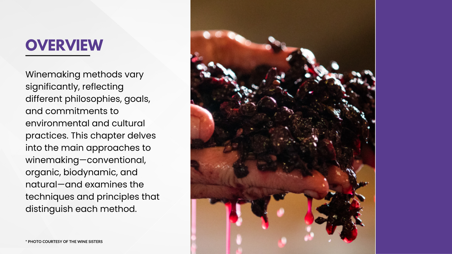 Chapter 4.12 - Winemaking Philosophies: From Conventional to Natural