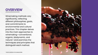 Chapter 4.12 - Winemaking Philosophies: From Conventional to Natural