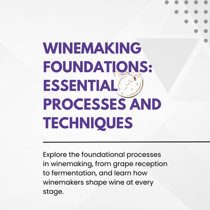 Chapter 4.13 - Winemaking Foundations: Essential Processes and Techniques