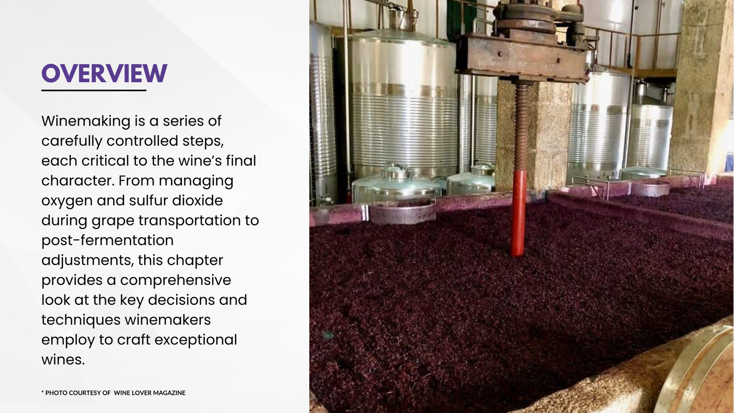 Chapter 4.13 - Winemaking Foundations: Essential Processes and Techniques