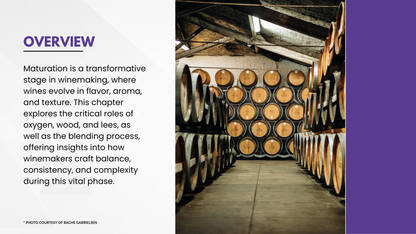 Chapter 4.14 - The Art of Maturation: Unlocking Wine's Potential