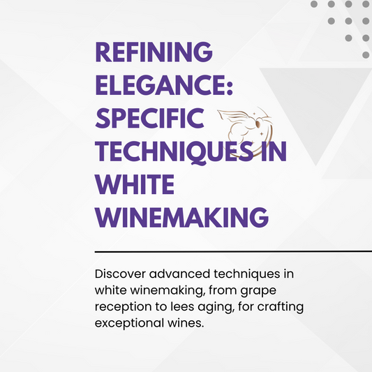 Chapter 4.16 - Refining Elegance: Specific Techniques in White Winemaking