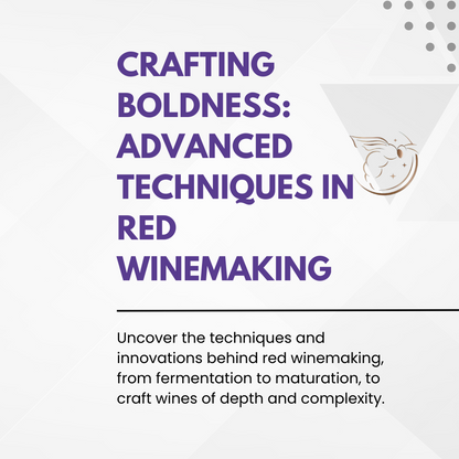 Chapter 4.18 - Crafting Boldness: Advanced Techniques in Red Winemaking