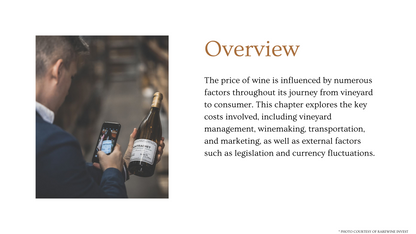 Chapter 4.20 - Breaking Down Wine Costs: Understanding Price Factors in the Supply Chain