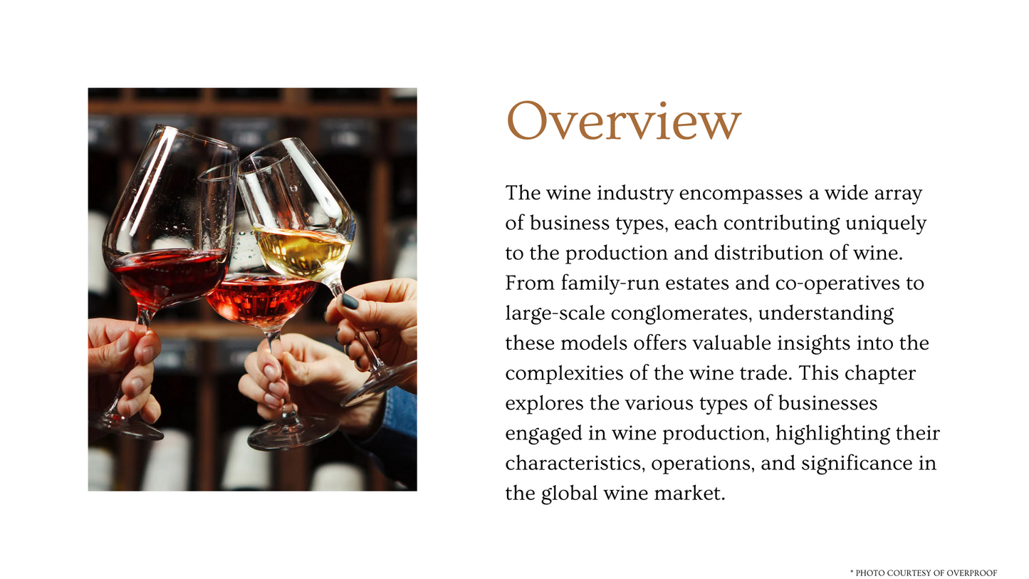 Chapter 4.21 - Exploring Business Models in Wine Production