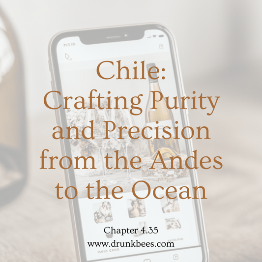 Chapter 4.35 - Chile: Crafting Purity and Precision from the Andes to the Ocean