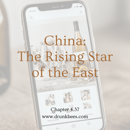 Chapter 4.37 - China: The Rising Star of the East