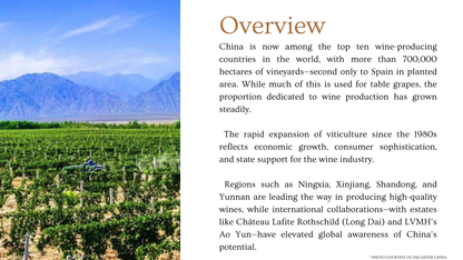 Chapter 4.37 - China: The Rising Star of the East