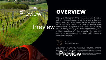 Knowledge Base - The Rich Legacy of Hungarian Wines: A Comprehensive Guide to Regions, Varieties and Traditions