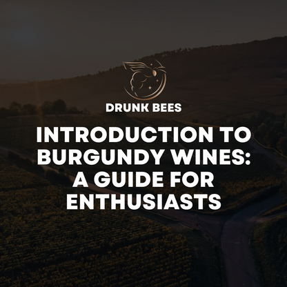 Knowledge Base - Introduction to Burgundy Wines: A Guide for Enthusiasts