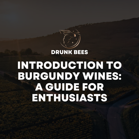 Knowledge Base - Introduction to Burgundy Wines: A Guide for Enthusiasts