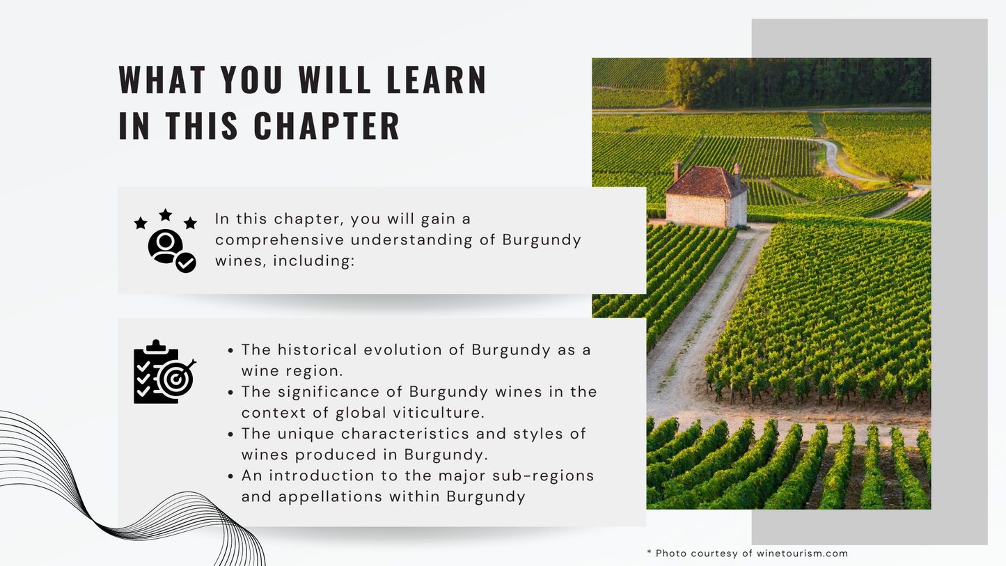 Knowledge Base - The Foundation of Burgundy Wines