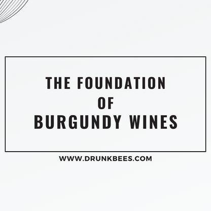 Knowledge Base - The Foundation of Burgundy Wines