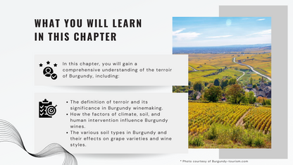 Knowledge Base - The Terroir of Burgundy