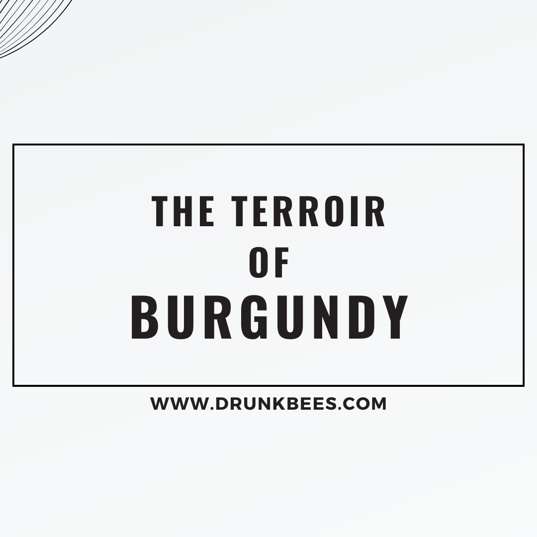 Knowledge Base - The Terroir of Burgundy