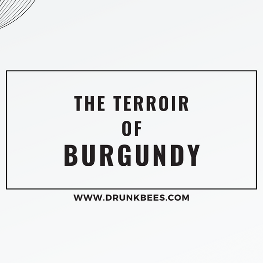 Knowledge Base - The Terroir of Burgundy