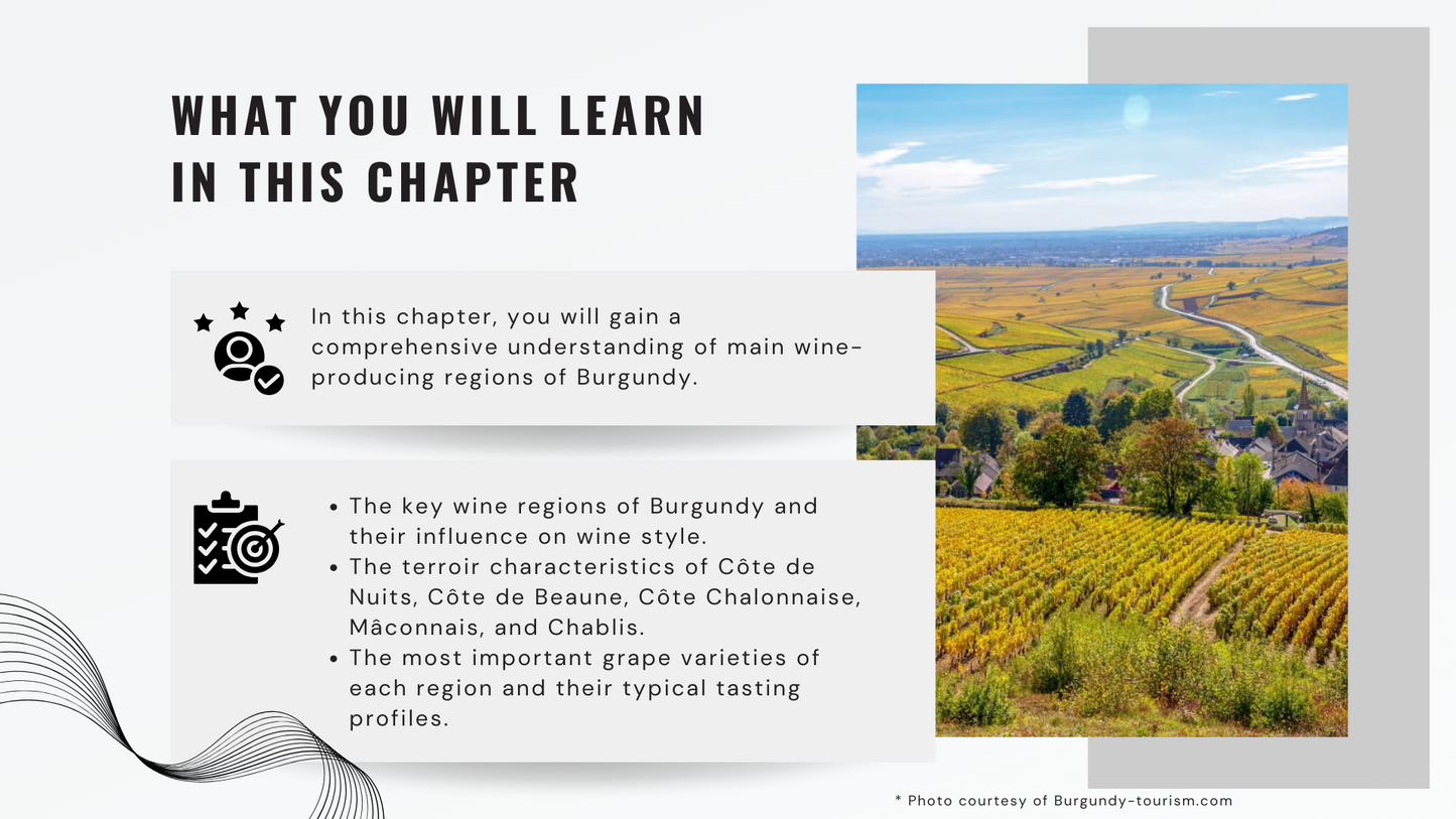 Knowledge Base - Burgundy's Wine Regions