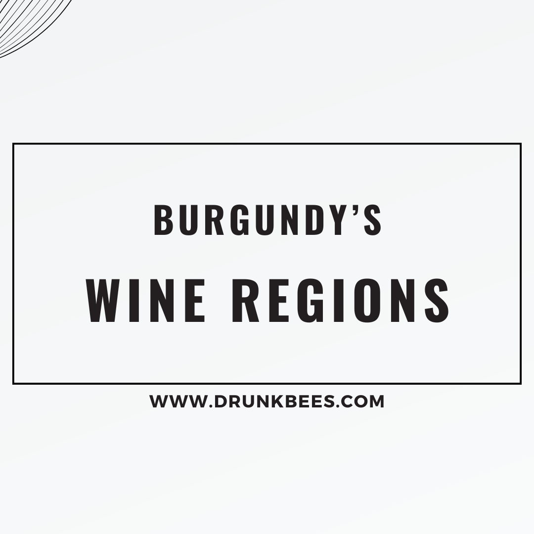 Knowledge Base - Burgundy's Wine Regions