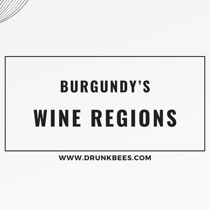 Knowledge Base - Burgundy's Wine Regions