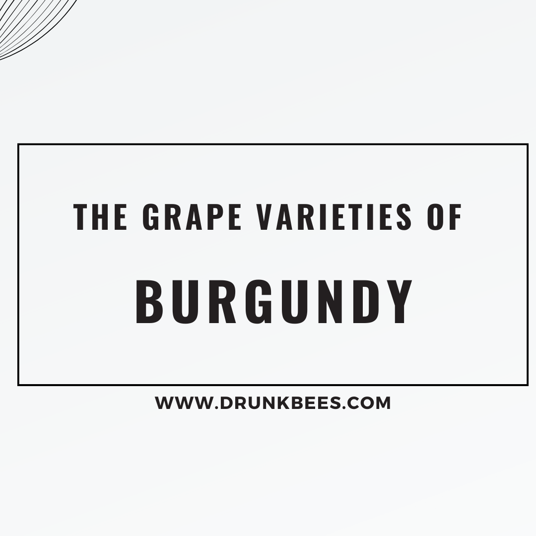 Knowledge Base - The Grape Varieties of Burgundy