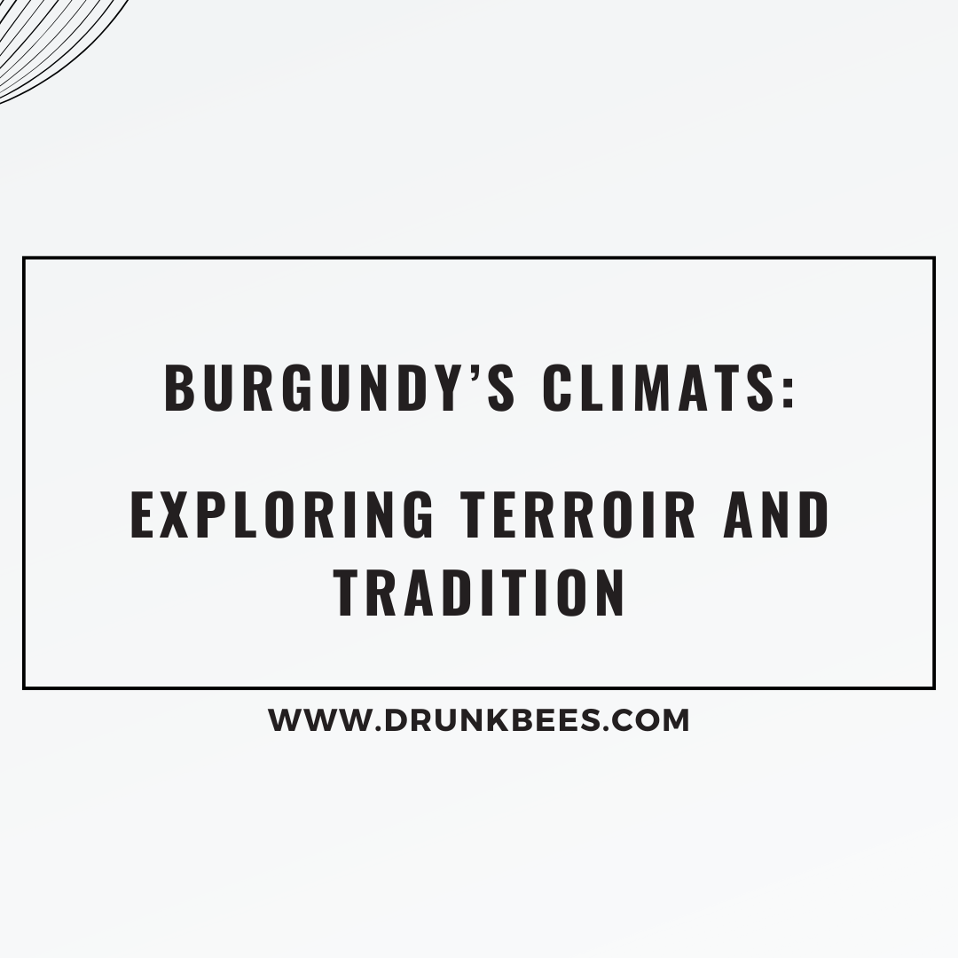 Knowledge Base - Burgundy’s Climats: Exploring Terroir and Tradition