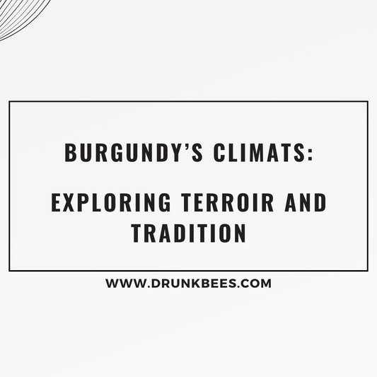 Knowledge Base - Burgundy’s Climats: Exploring Terroir and Tradition