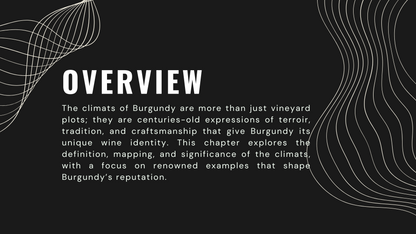 Knowledge Base - Burgundy’s Climats: Exploring Terroir and Tradition