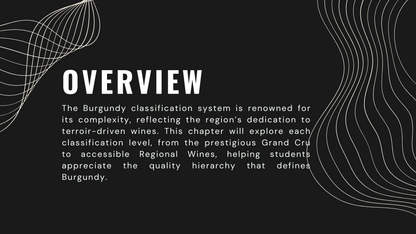 Knowledge Base - Decoding the Burgundy Classification System