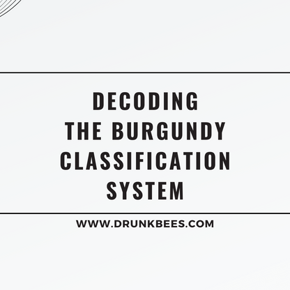 Knowledge Base - Decoding the Burgundy Classification System