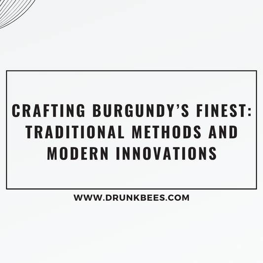 Knowledge Base - Crafting Burgundy's Finest: Traditional Methods and Modern Innovations