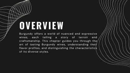 Knowledge Base - Savoring Burgundy: A Guide to Tasting and Understanding Its Wines