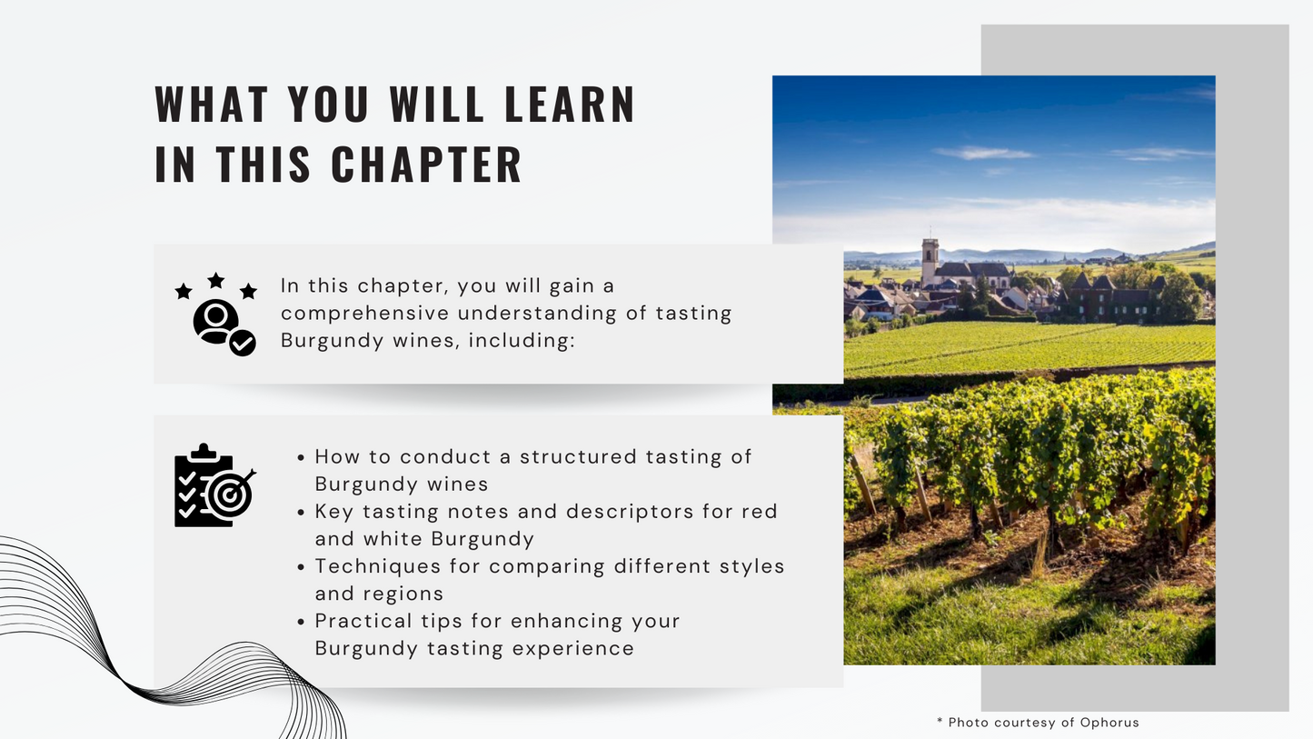 Knowledge Base - Savoring Burgundy: A Guide to Tasting and Understanding Its Wines