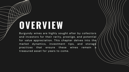 Knowledge Base - Burgundy Wines: A Collector’s Guide to Investment and Value