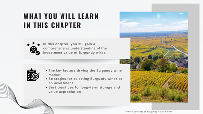 Knowledge Base - Burgundy Wines: A Collector’s Guide to Investment and Value