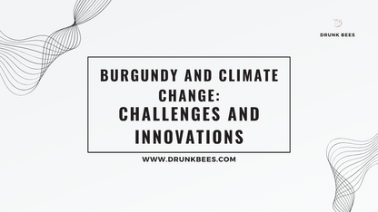 Knowledge Base - Burgundy and Climate Change: Challenges and Innovations