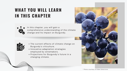 Knowledge Base - Burgundy and Climate Change: Challenges and Innovations