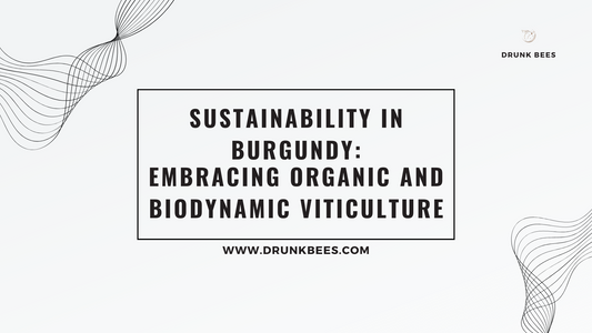 Knowledge Base - Sustainability in Burgundy: Embracing Organic and Biodynamic Viticulture