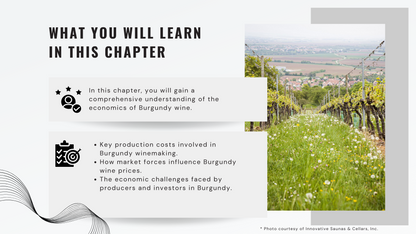 Knowledge Base - Burgundy's Wine Economy: Costs, Markets, and Challenges