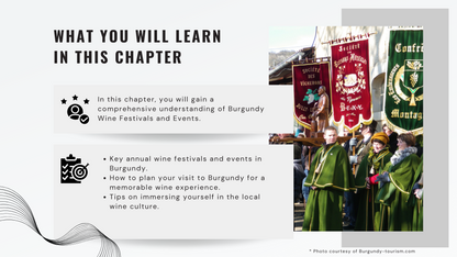 Knowledge Base - Celebrating Burgundy: A Guide to Wine Festivals and Events