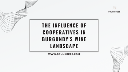 Knowledge Base - The Influence of Cooperatives in Burgundy's Wine Landscape